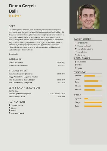 İç Mimar Cv Örnekleri cv indir